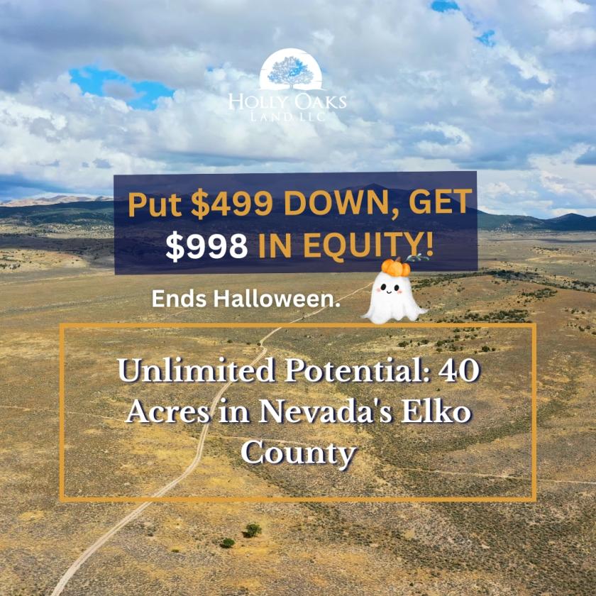 40 Acres for Sale in Montello, Nevada