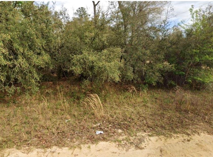 0.22 Acres for Sale in Interlachen, Florida