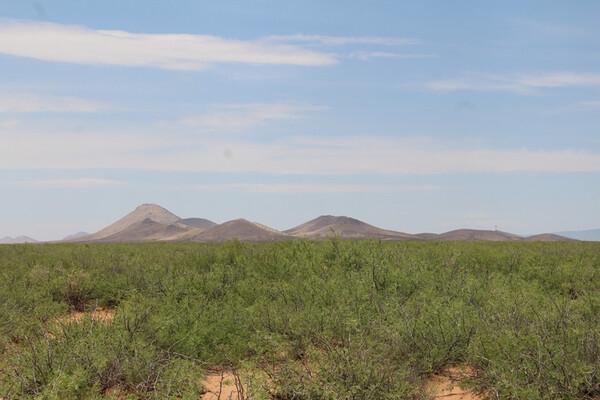 4.77 Acres for Sale in Gage, New Mexico