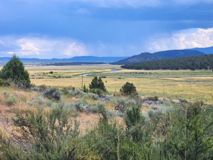 3.24 Acres for Sale in Sprague River, Oregon