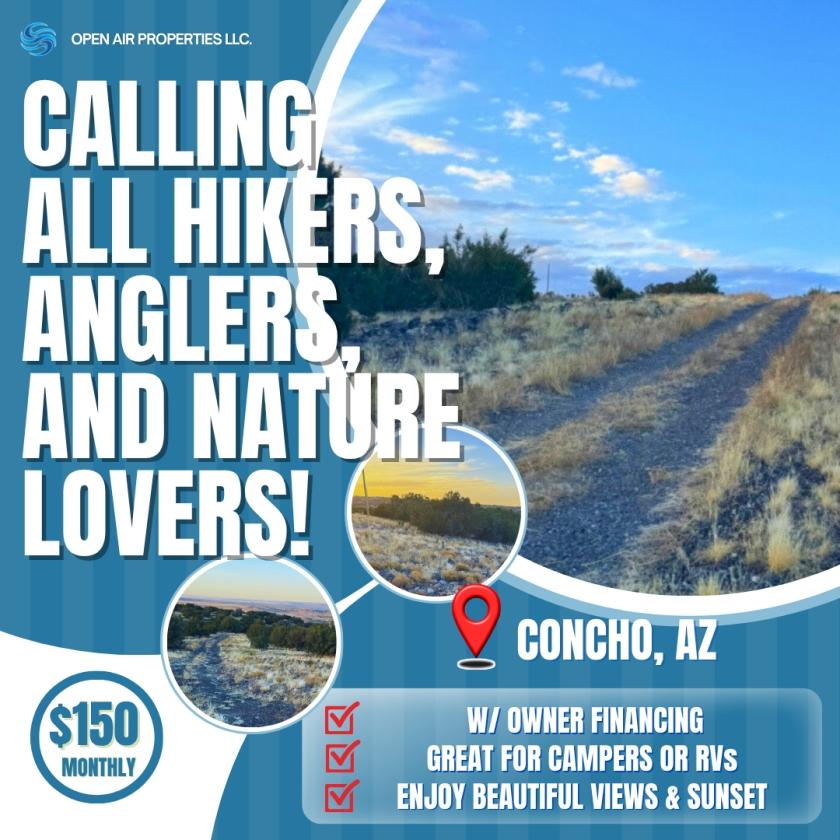 0.37 Acres for Sale in Concho, Arizona