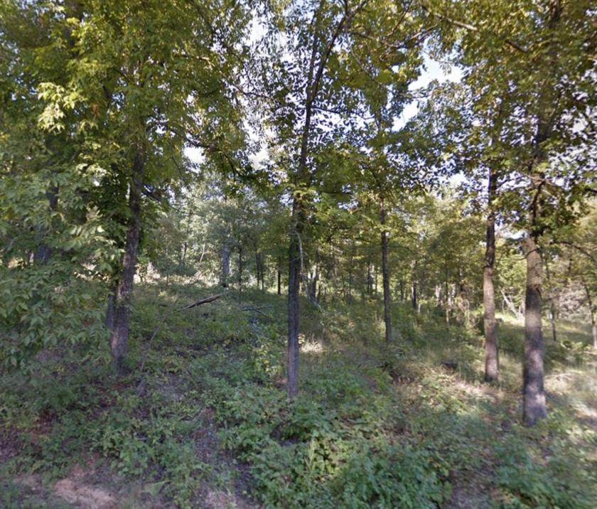 0.17 Acres for Sale in Williford, Arkansas