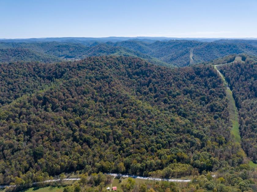 38.2 Acres for Sale in Cowen, West Virginia
