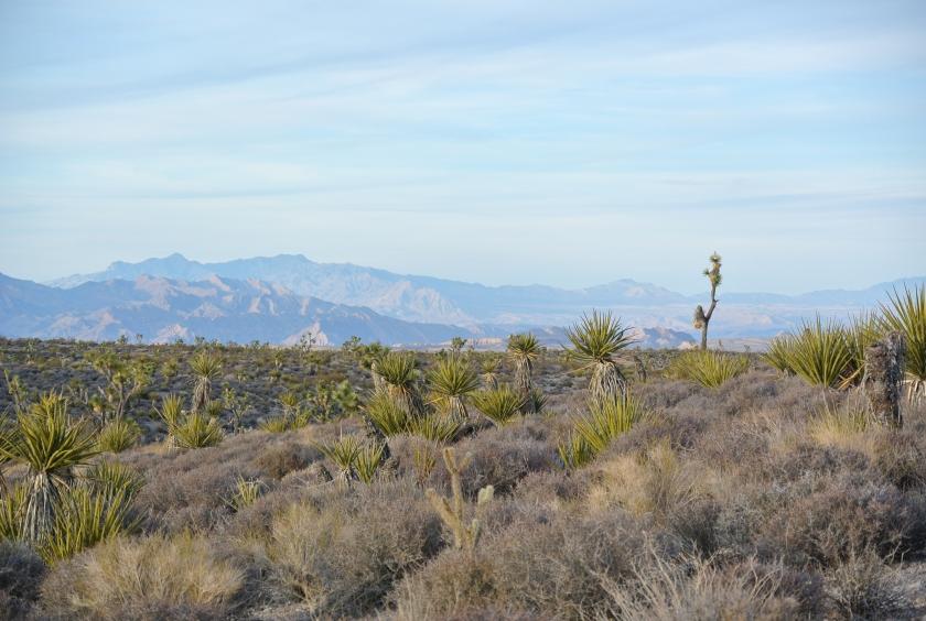 1.25 Acres for Sale in Meadview, Arizona