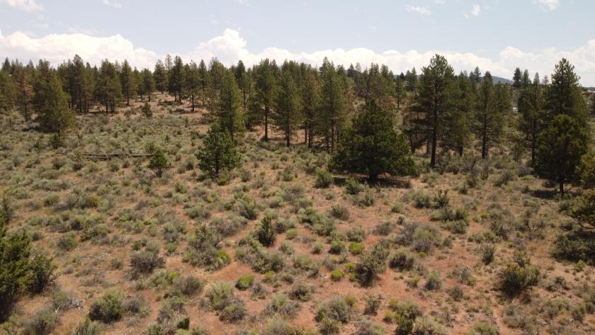1.49 Acres for Sale in Beatty, Oregon