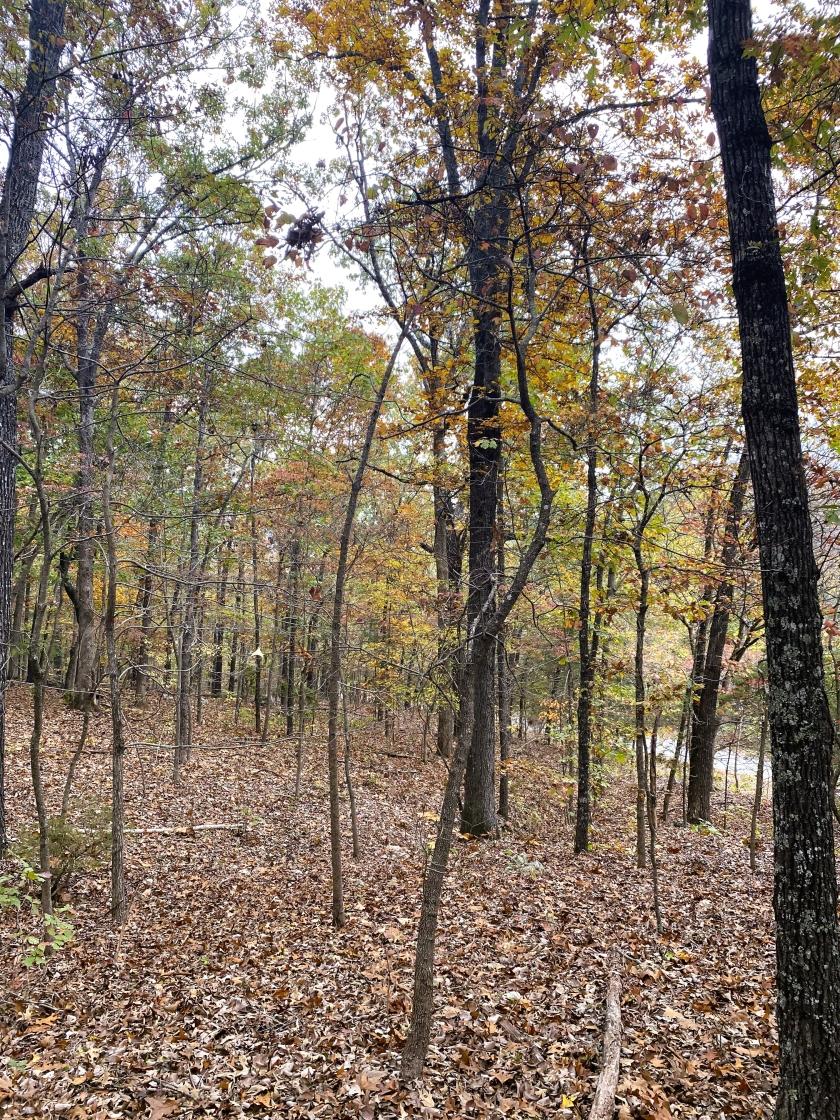 0.30 Acres for Sale in Horseshoe Bend, Arkansas