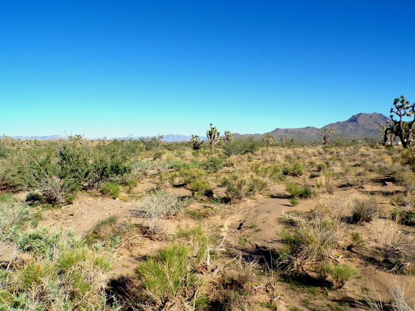 1 Acres for Sale in Dolan Springs, Arizona