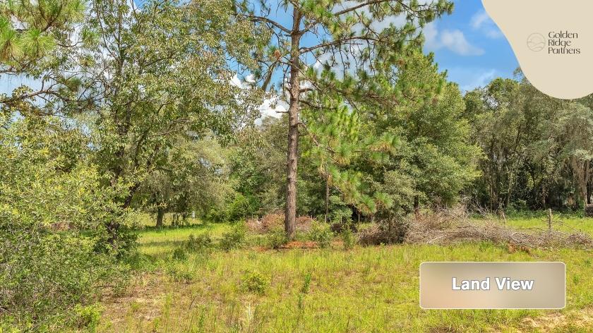 0.22 Acres for Sale in Interlachen, Florida