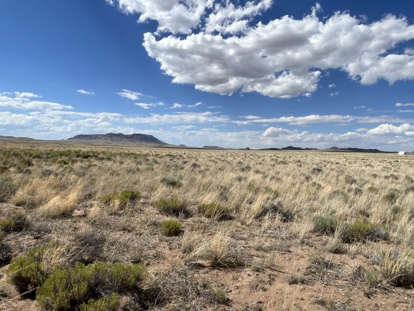 4.74 Acres for Sale in Mesita, Colorado