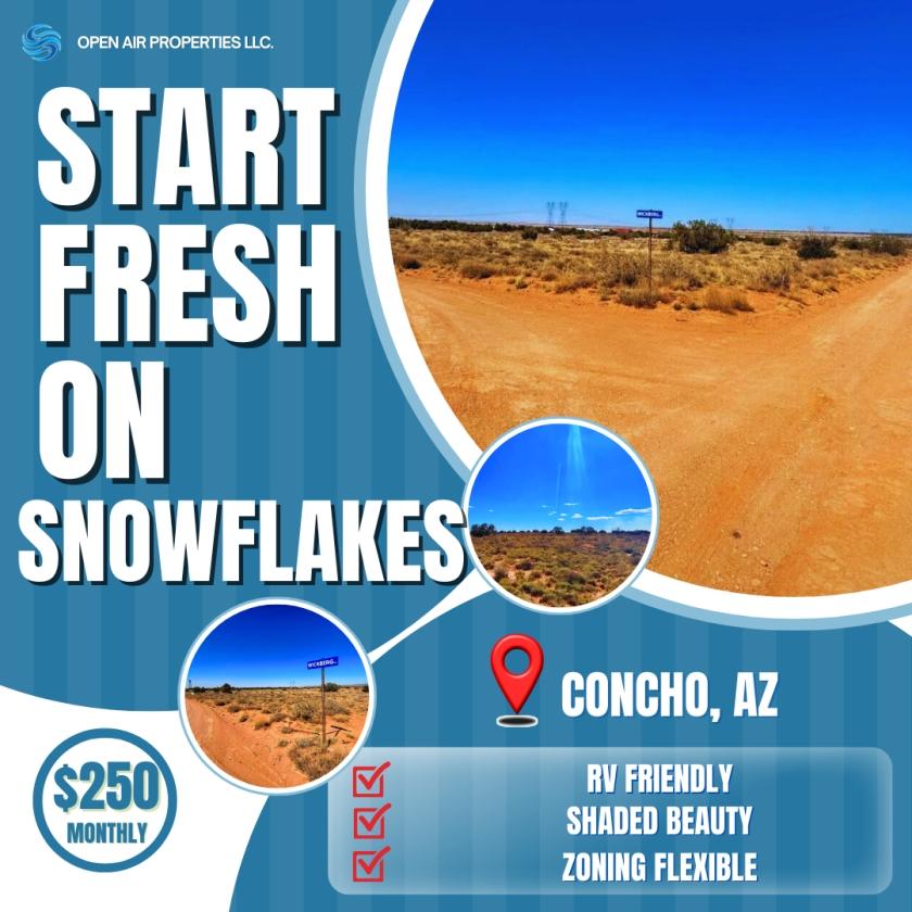 1.27 Acres for Sale in Snowflake, Arizona