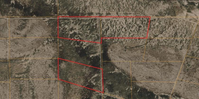 60.06 Acres for Sale in Sierra Blanca, Texas