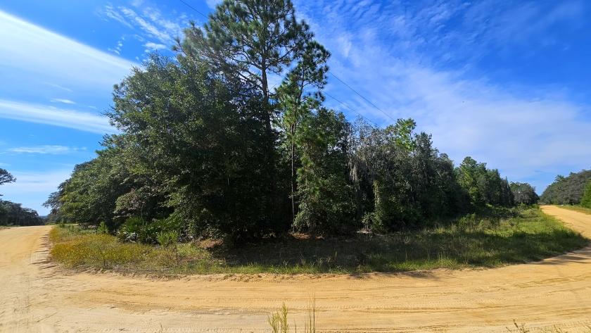 0.22 Acres for Sale in Interlachen, Florida