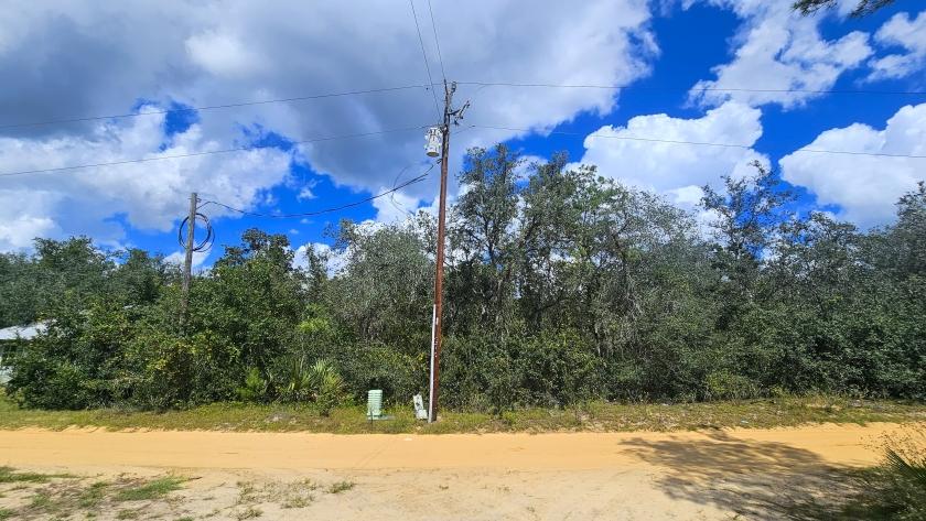 0.25 Acres for Sale in Umatilla, Florida