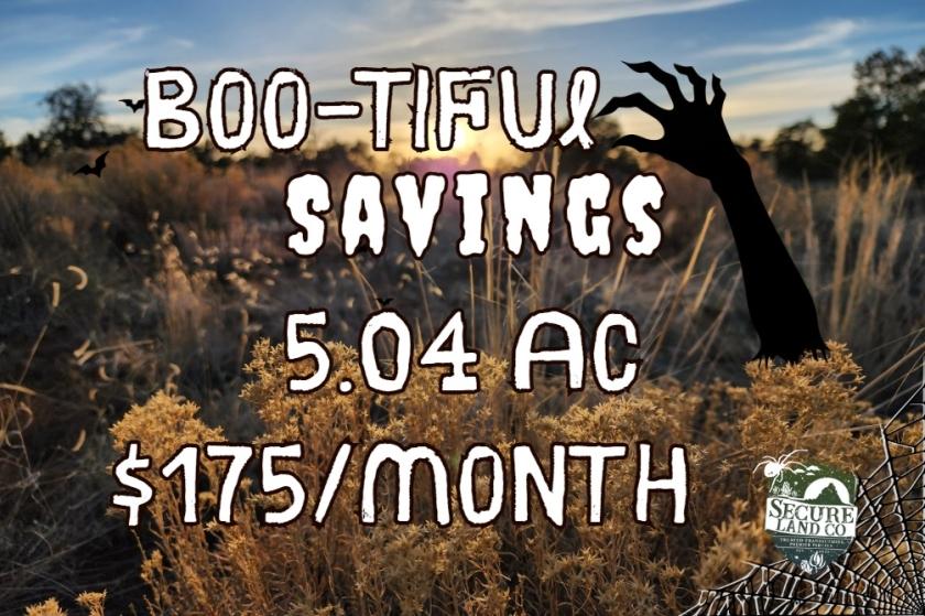 5.04 Acres for Sale in Pinehill, New Mexico