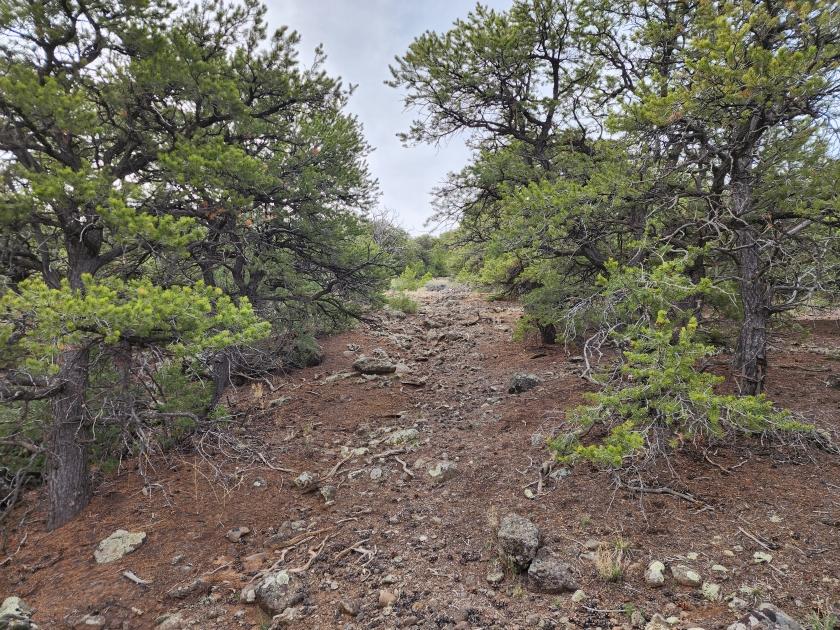 1.15 Acres for Sale in San Luis, Colorado