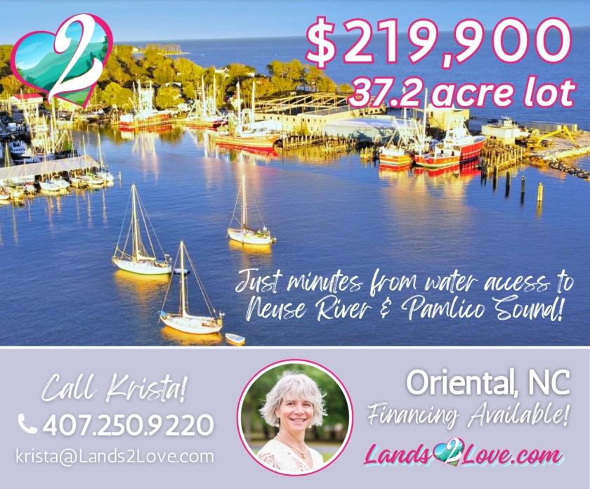 37.2 Acres for Sale in Oriental, North Carolina