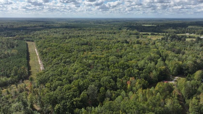 3.87 Acres for Sale in Kents Store, Virginia