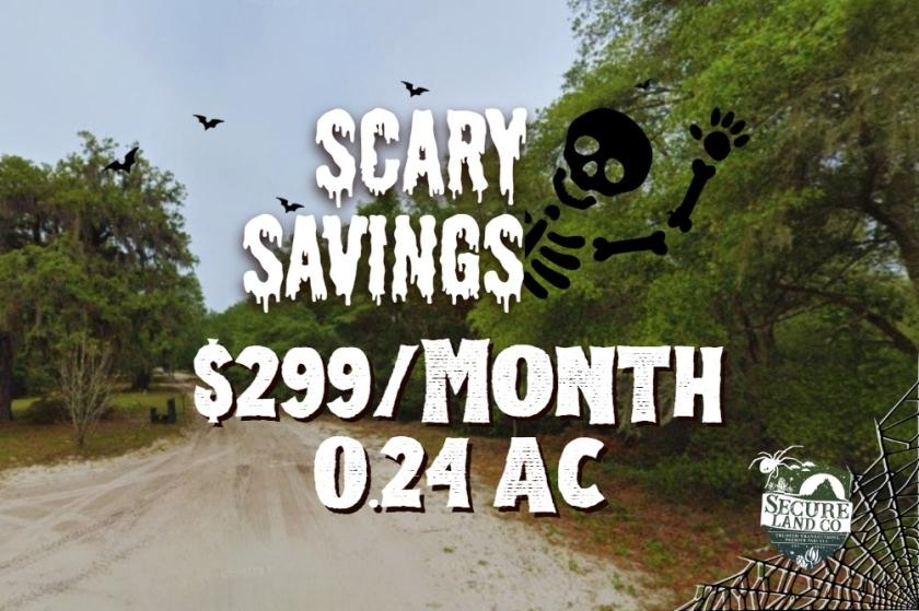 0.24 Acres for Sale in Dunnellon, Florida