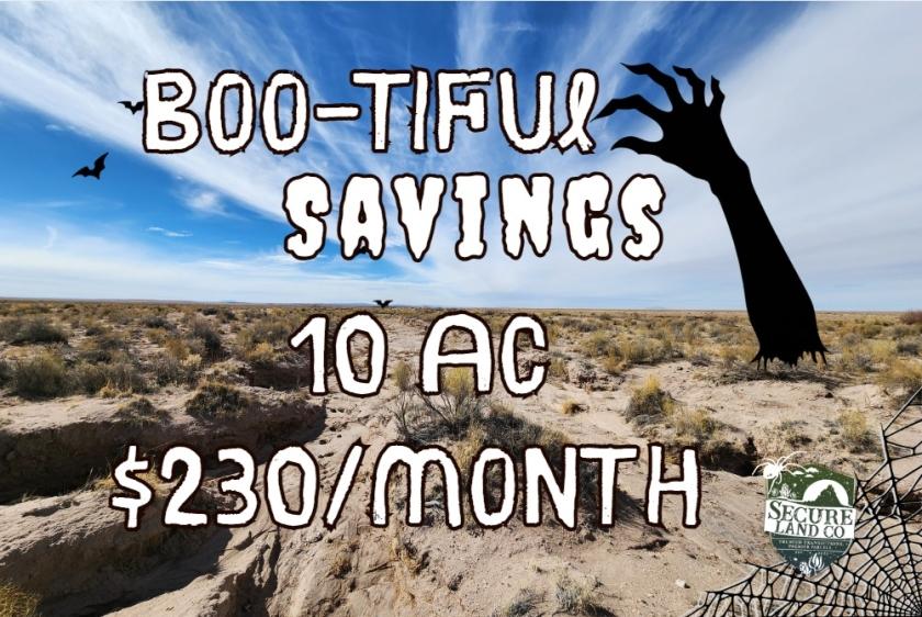 10 Acres for Sale in Joseph City, Arizona