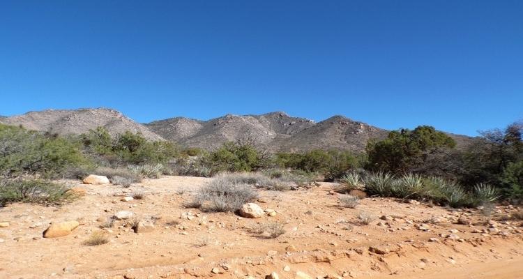 5.00 Acres for Sale in Kingman, Arizona