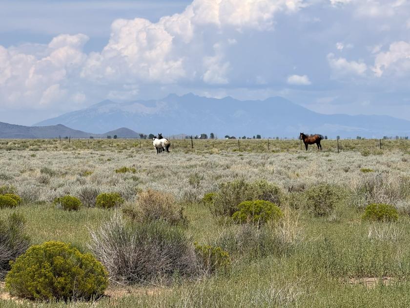 5.09 Acres for Sale in Mesita, Colorado