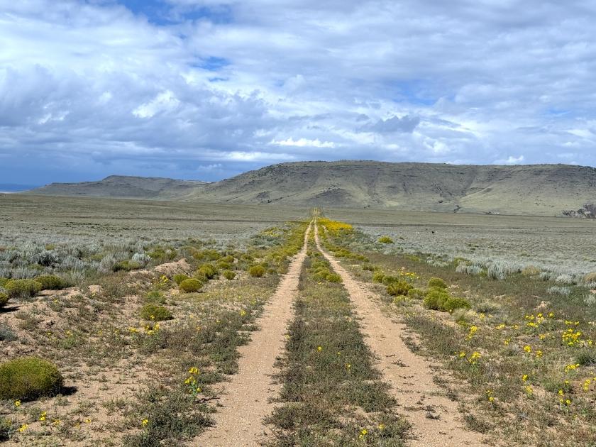 5 Acres for Sale in Jaroso, Colorado