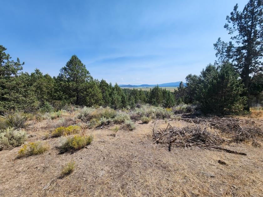 1.62 Acres for Sale in Klamath, Oregon