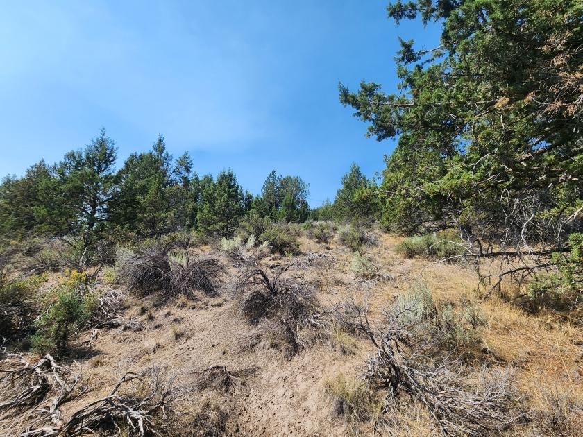 1.62 Acres for Sale in Klamath, Oregon