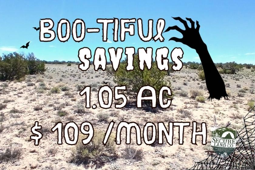 1.05 Acres for Sale in Sanders, Arizona