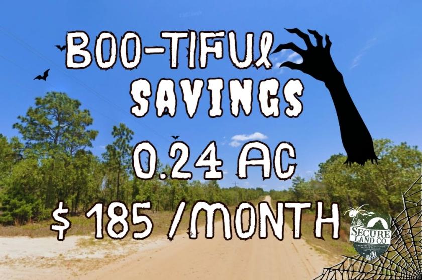 0.24 Acres for Sale in Hawthorne, Florida