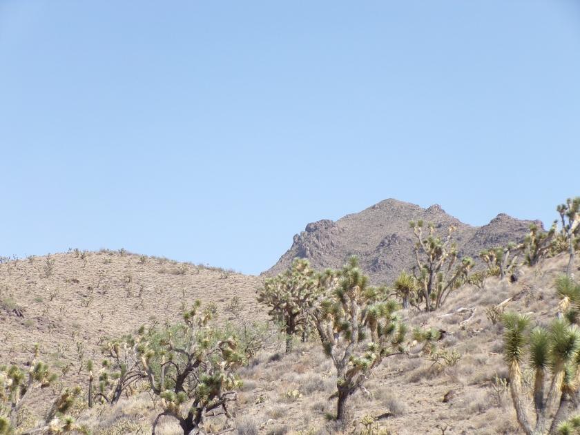 1.77 Acres for Sale in Dolan Springs, Arizona
