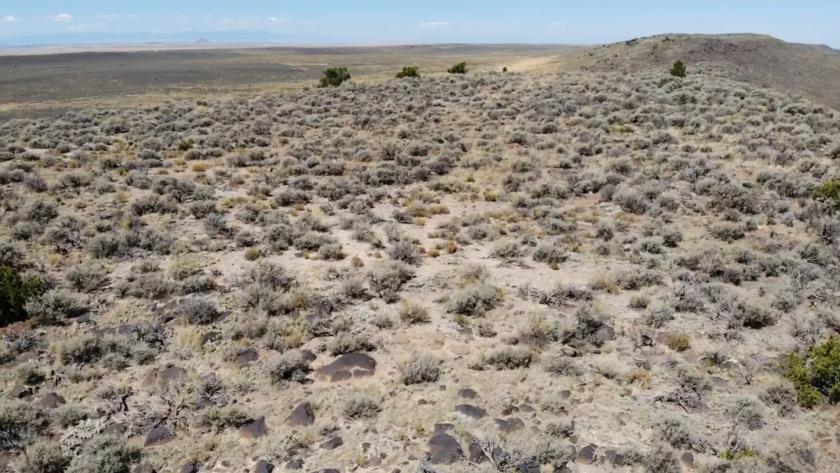5.15 Acres for Sale in Fort Garland, Colorado