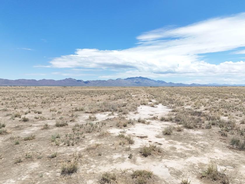 0.25 Acres for Sale in Willcox, Arizona