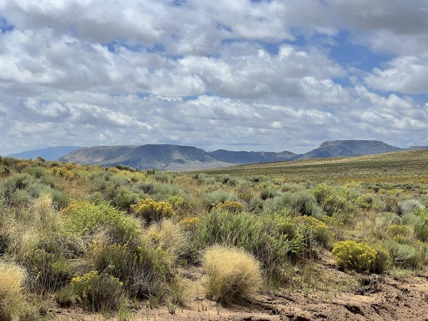 5.01 Acres for Sale in Mesita, Colorado