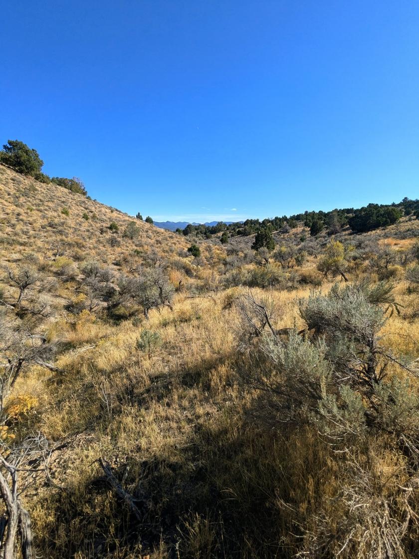 10.00 Acres for Sale in Montello, Nevada
