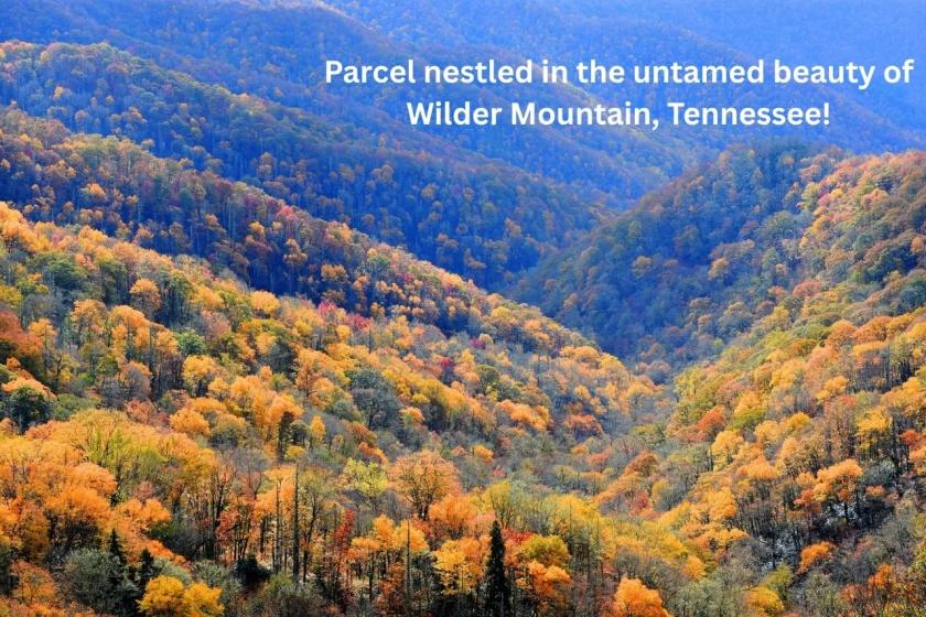 7.25 Acres for Sale in Wilder, Tennessee
