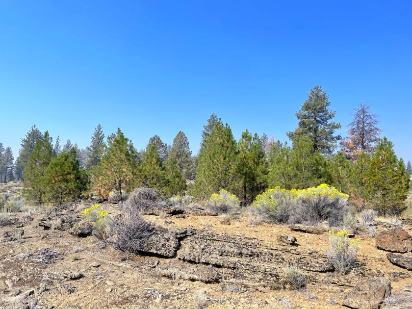 2.6 Acres for Sale in Sprague River, Oregon