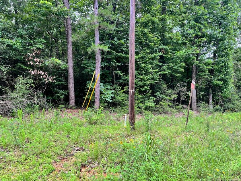 0.2 Acres for Sale in Woodville, Texas