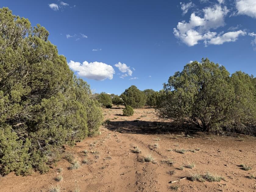 2.36 Acres for Sale in Snowflake, Arizona