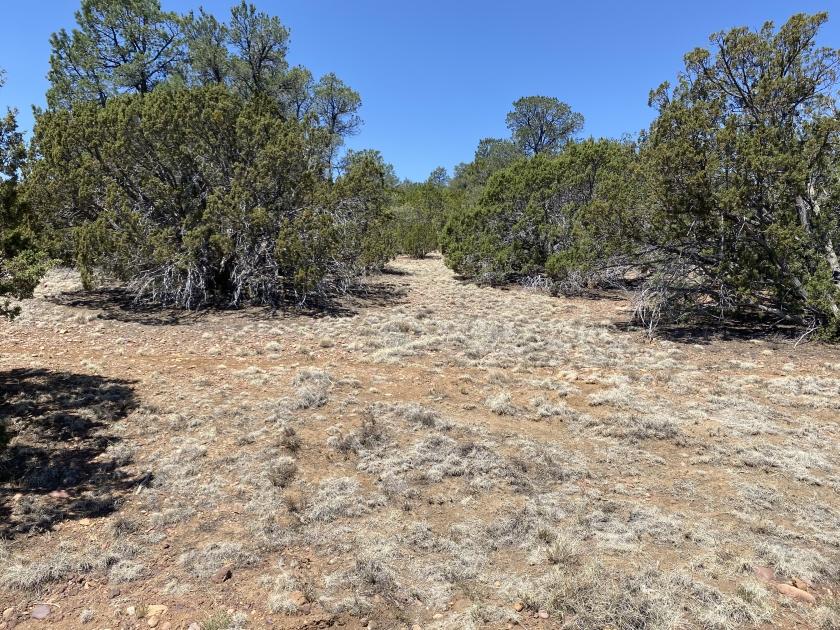 1.39 Acres for Sale in Show Low, Arizona