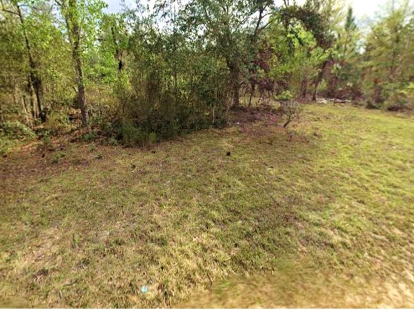 0.2 Acres for Sale in Interlachen, Florida