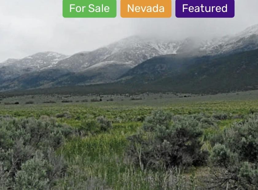 10 Acres for Sale in Montello, Nevada