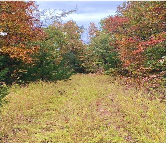 0.70 Acres for Sale in Horseshoe Bend, Arkansas