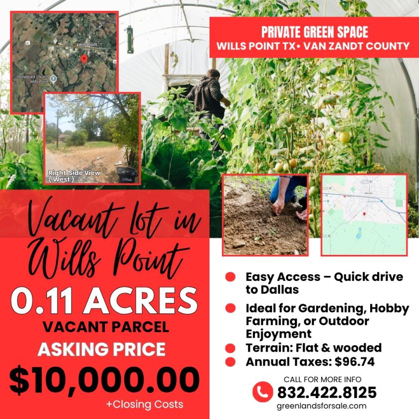 0.11 Acres for Sale in Wills Point, Texas