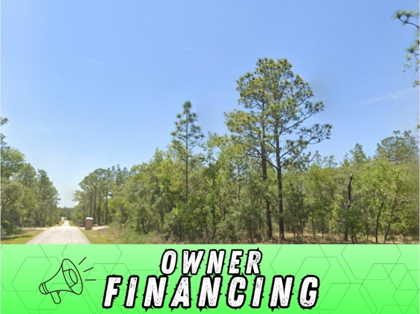 0.27 Acres for Sale in Dunnellon, Florida