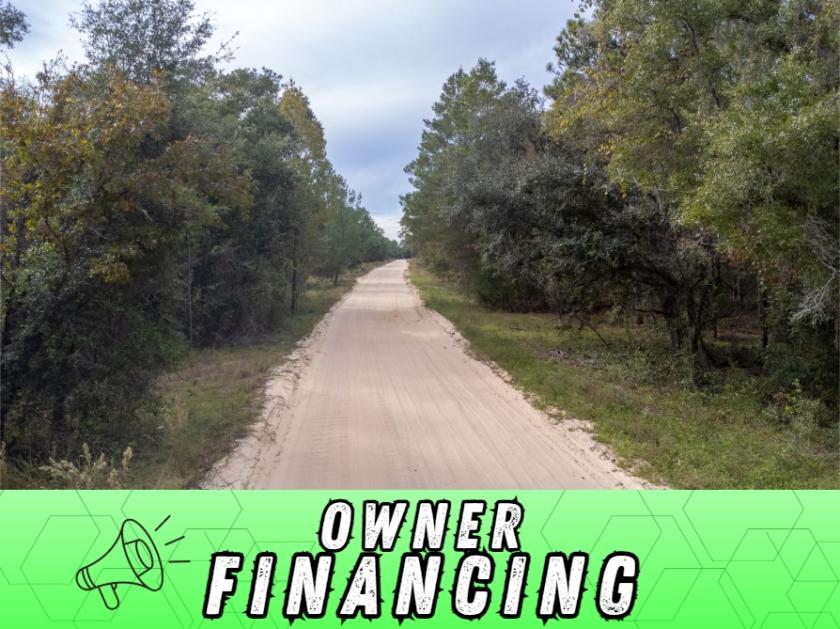 0.22 Acres for Sale in Interlachen, Florida