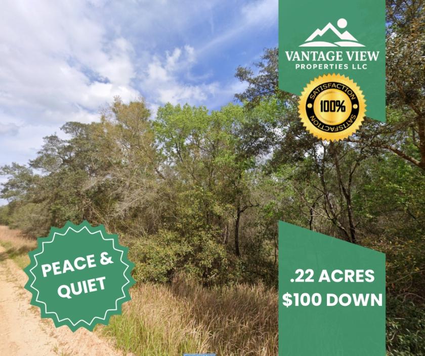 0.22 Acres for Sale in Interlachen, Florida