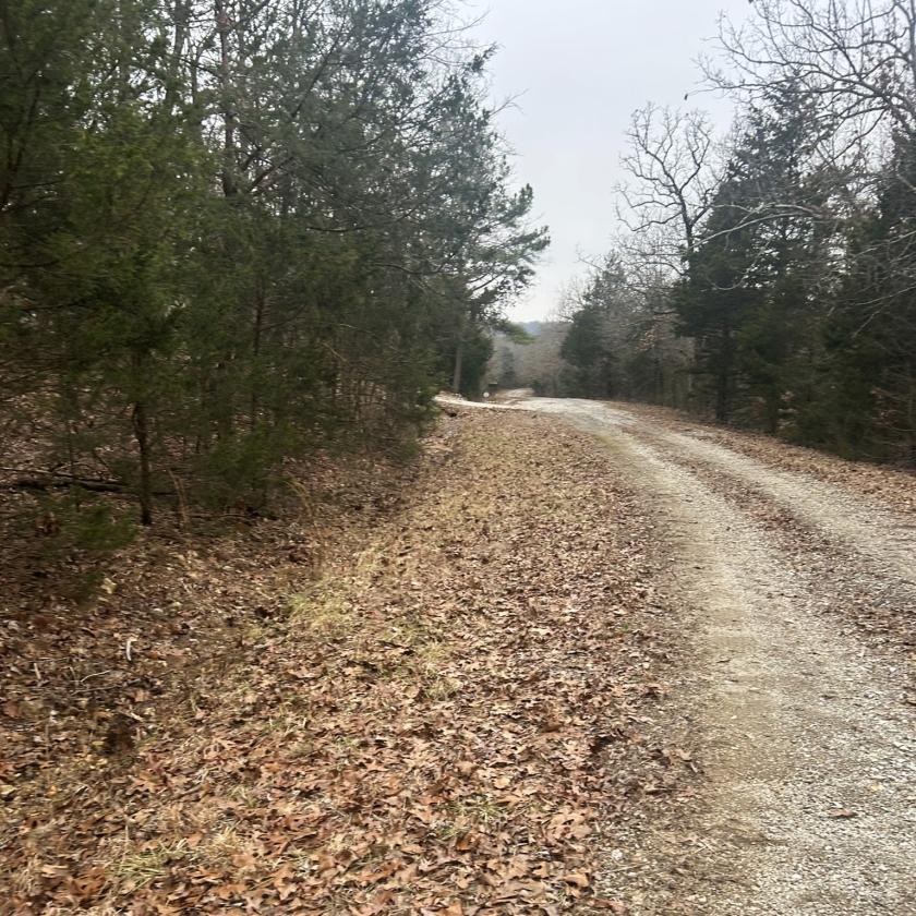 0.40 Acres for Sale in Horseshoe Bend, Arkansas