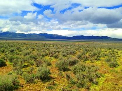 80.00 Acres for Sale in Lovelock, Nevada
