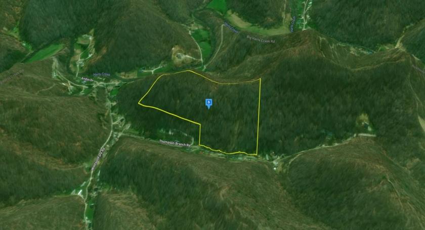 17.03 Acres for Sale in Harts, West Virginia